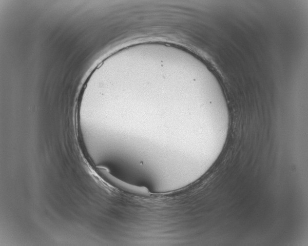 X0000078841516200612041826