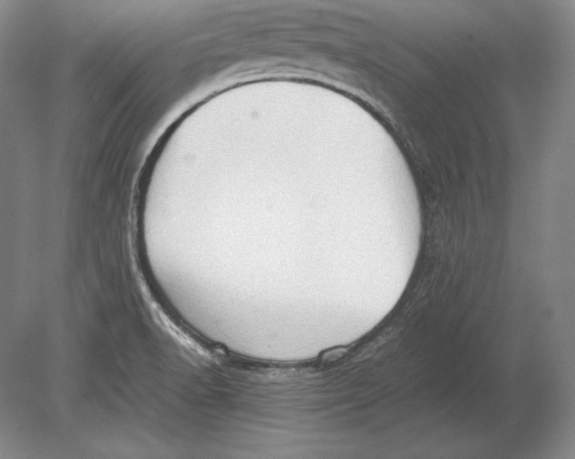 X0000078841518200612041826