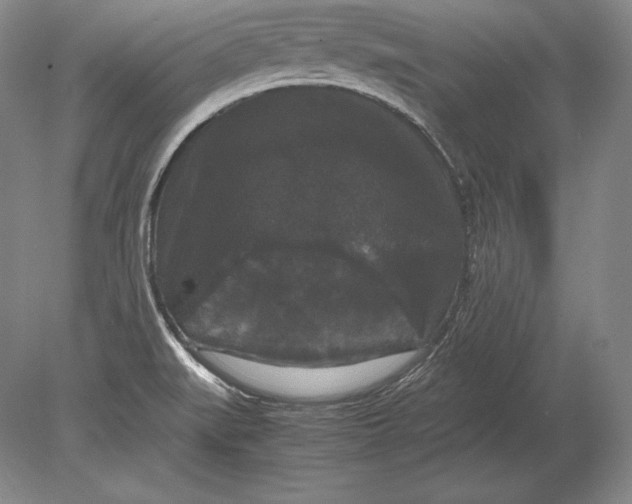 X0000078841519200612041826