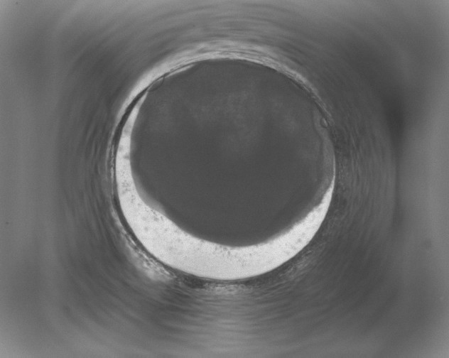 X0000078841522200612041826