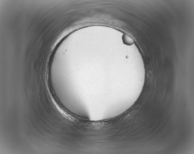 X0000078841523200612041826