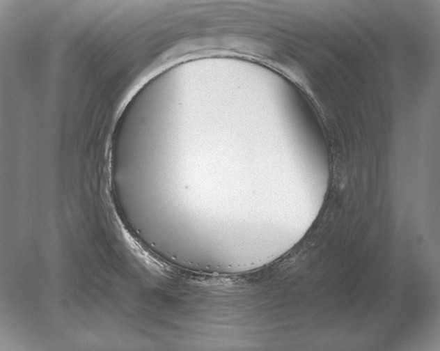 X0000078841524200612041826