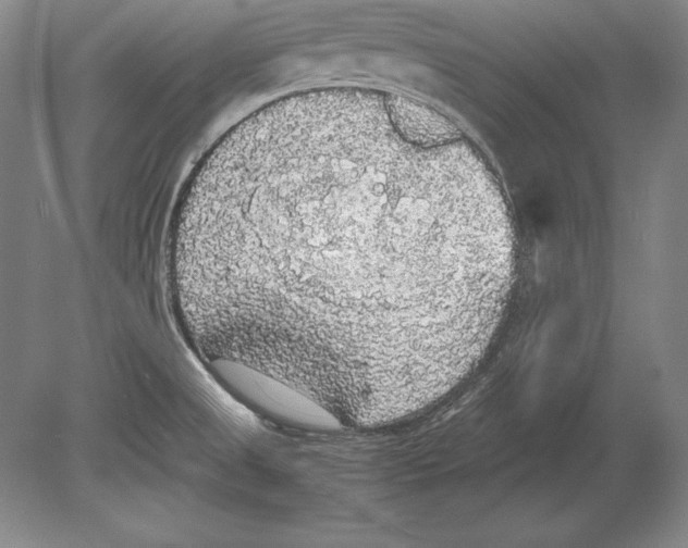 X0000078841525200612041826