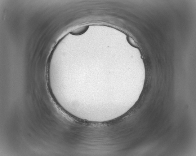 X0000078841526200612041826