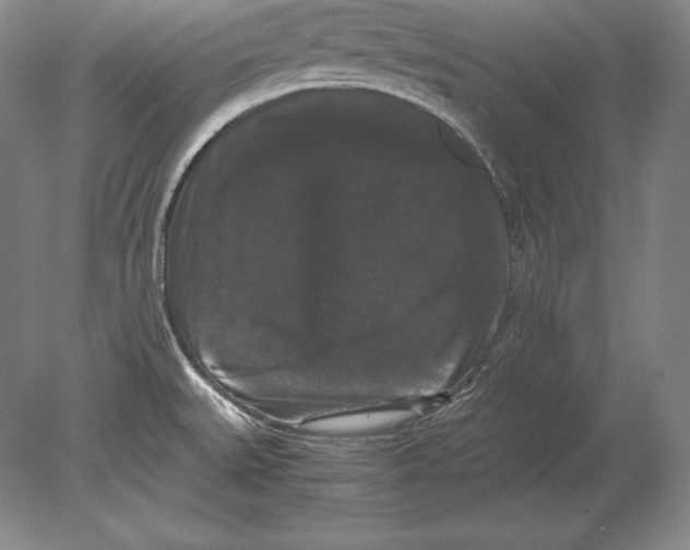 X0000078841527200612041826