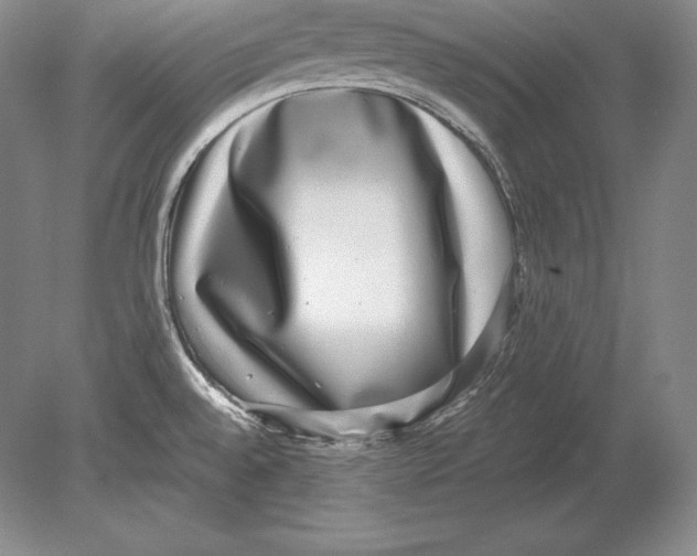 X0000078841528200612041826