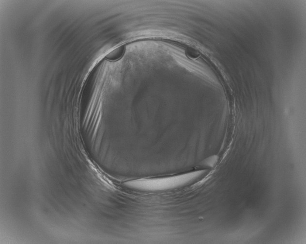 X0000078841529200612041826