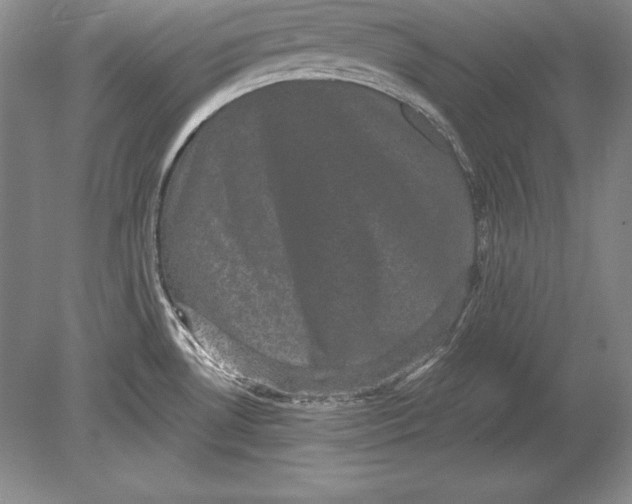 X0000078841530200612041826