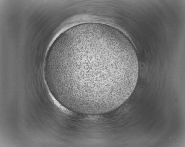 X0000078841531200612041826