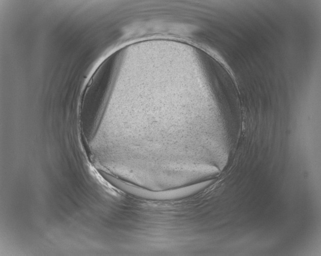 X0000078841532200612041826