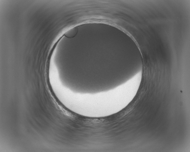 X0000078841533200612041826