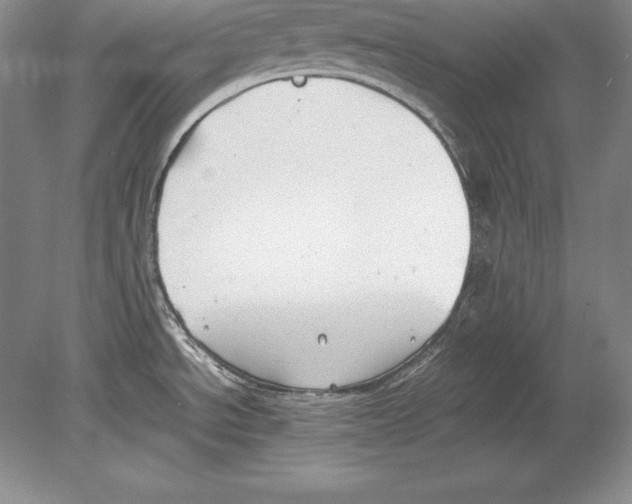 X0000078841534200612041826