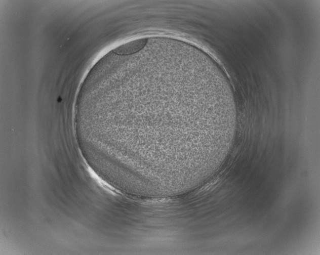 X0000078841535200612041826