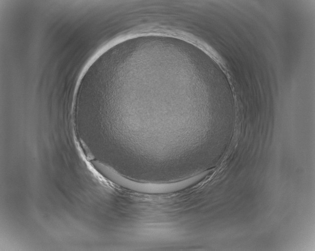 X0000078841536200612041826