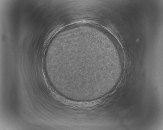 X0000078840001200612111607