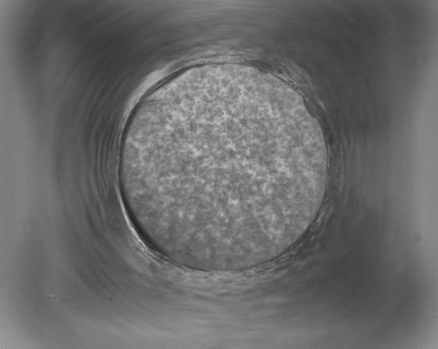 X0000078840003200612111607