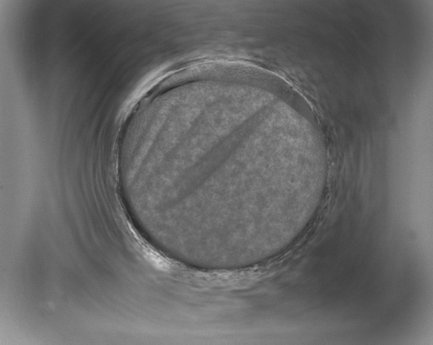 X0000078840005200612111607