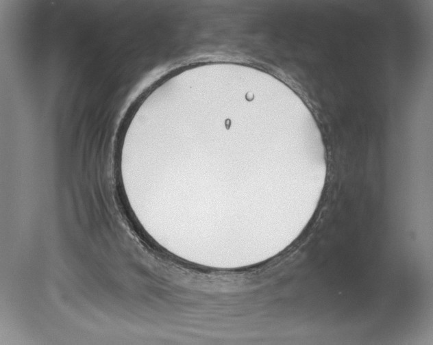 X0000078840008200612111607