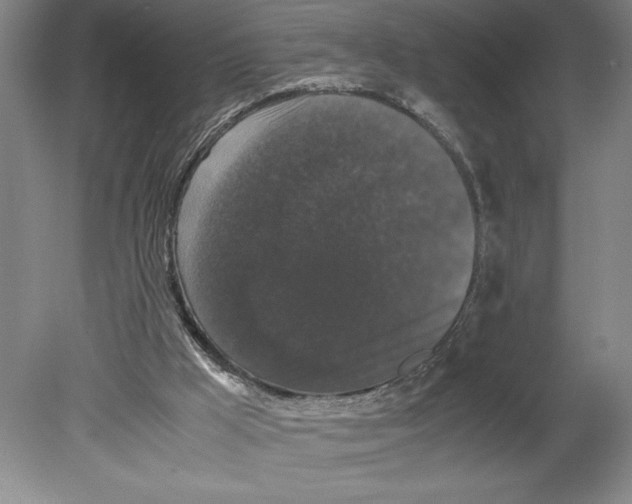 X0000078840009200612111607