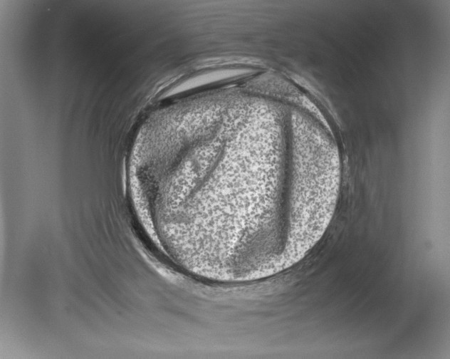 X0000078840013200612111607