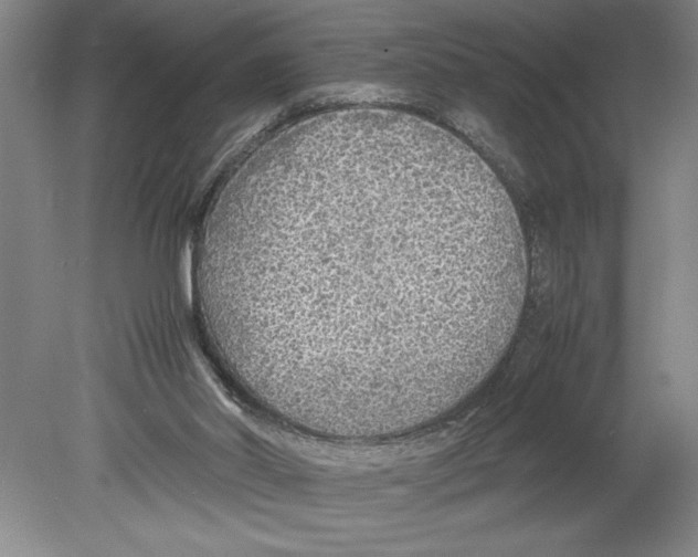 X0000078840014200612111607