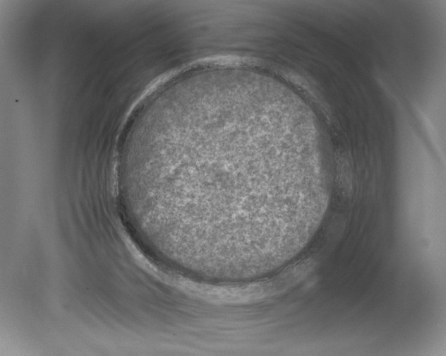 X0000078840016200612111607