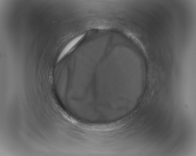 X0000078840017200612111607