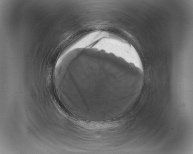 X0000078840018200612111607