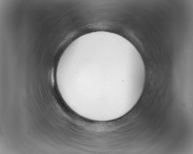 X0000078840020200612111607