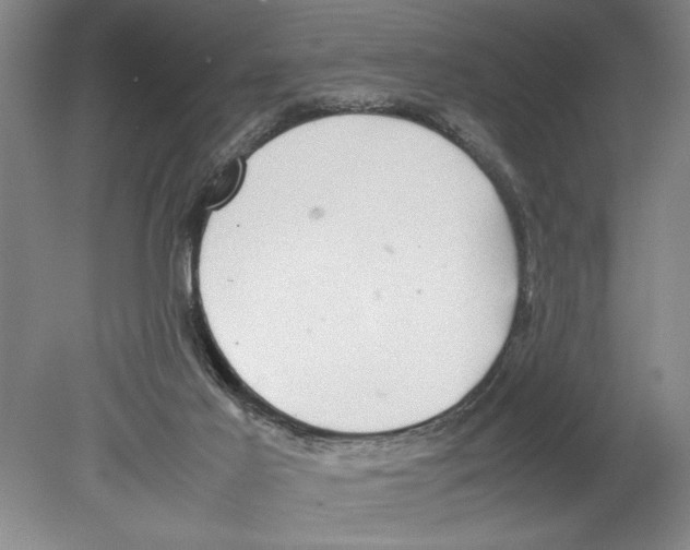 X0000078840021200612111607