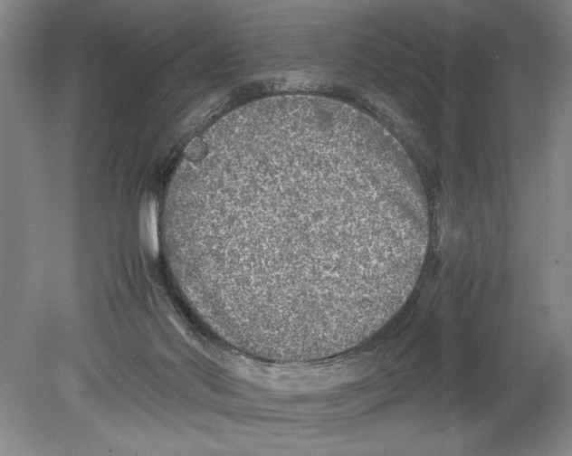 X0000078840022200612111607