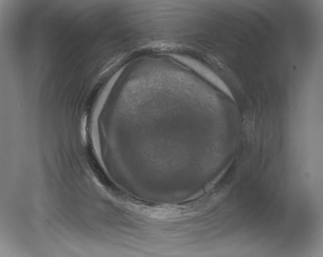 X0000078840024200612111607