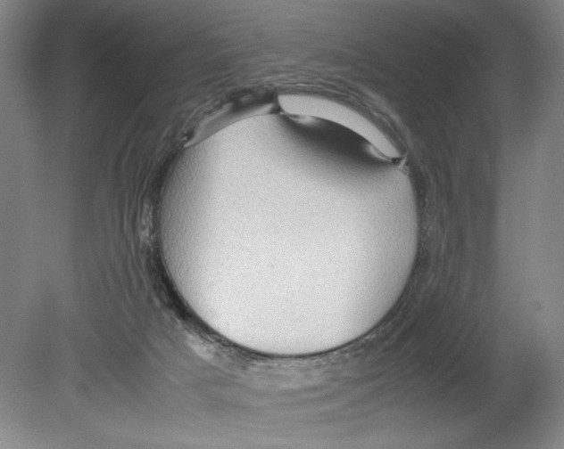 X0000078840025200612111607