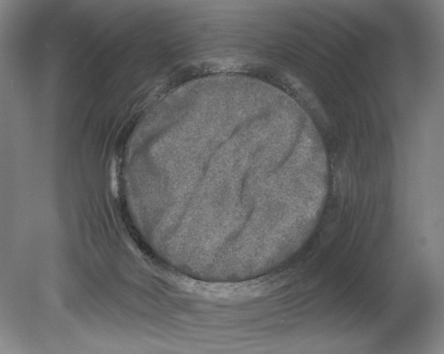 X0000078840026200612111607