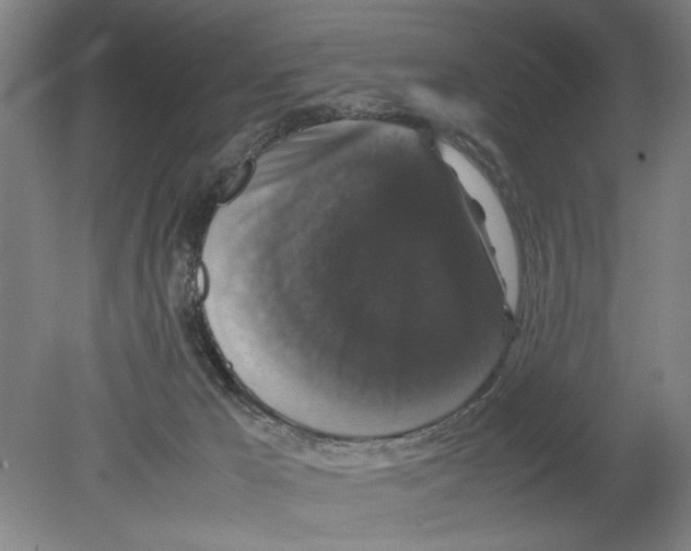 X0000078840029200612111607