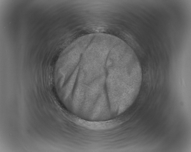 X0000078840030200612111607