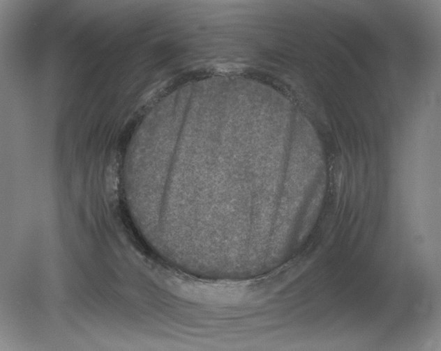 X0000078840032200612111607