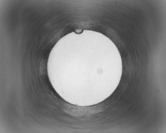 X0000078840034200612111607