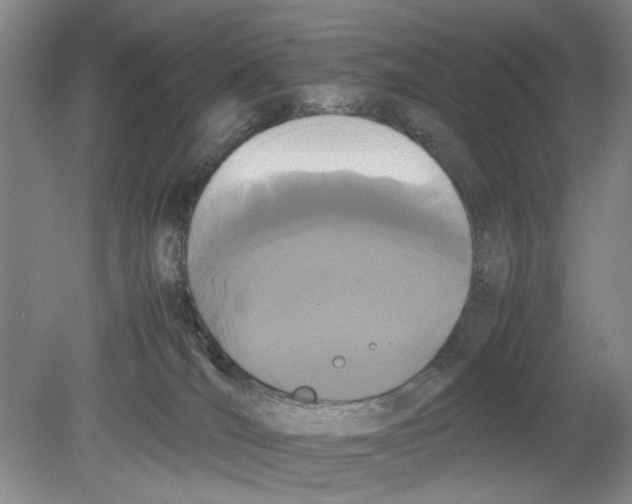 X0000078840036200612111607