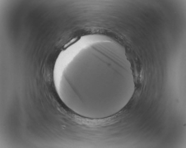 X0000078840039200612111607