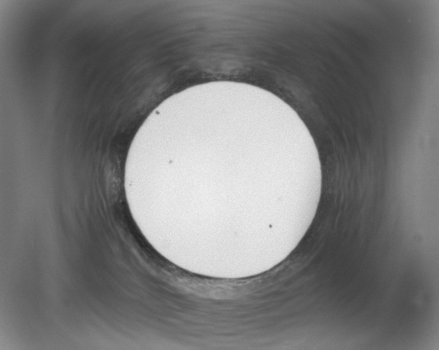 X0000078840040200612111607