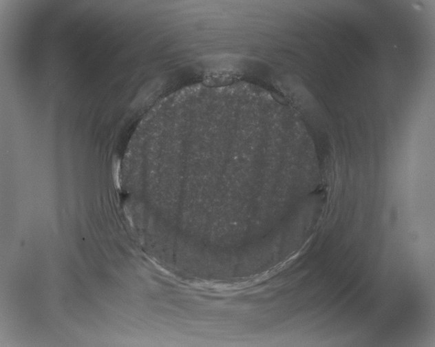 X0000078840041200612111607