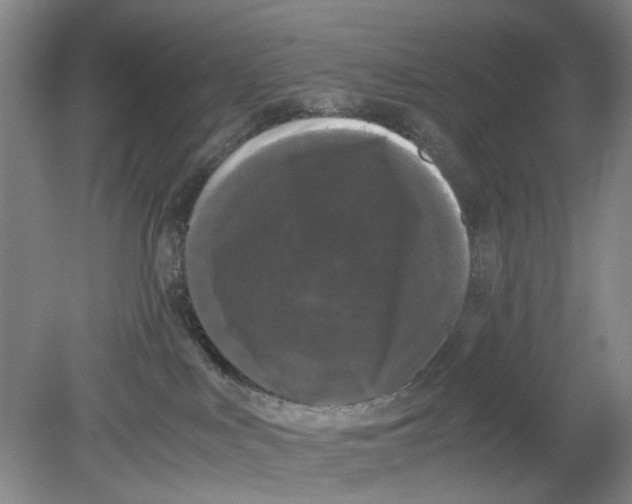 X0000078840043200612111607