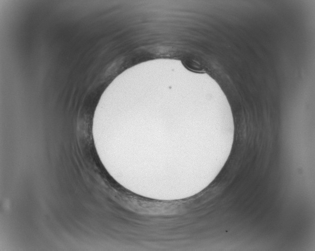 X0000078840044200612111607