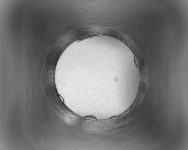 X0000078840045200612111607