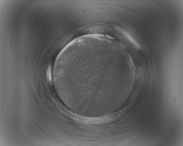 X0000078840046200612111607