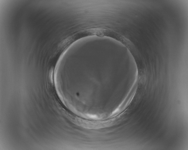 X0000078840047200612111607