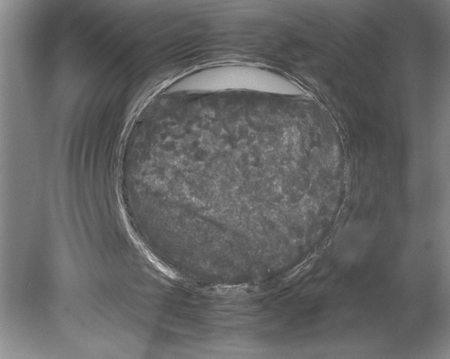 X0000078840049200612111606