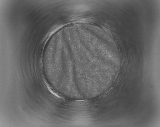 X0000078840050200612111606