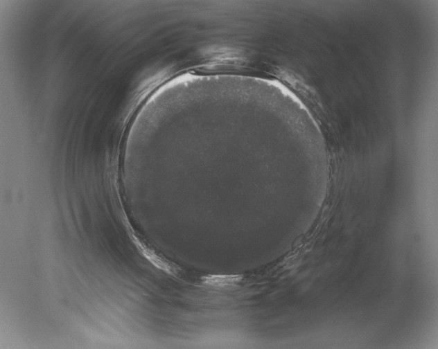 X0000078840051200612111606